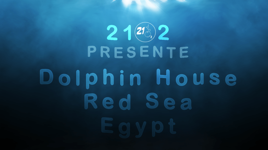 Nager avec les dauphins au récif de Sataya un lieu nommé « Dolphin House », Égypte 2018