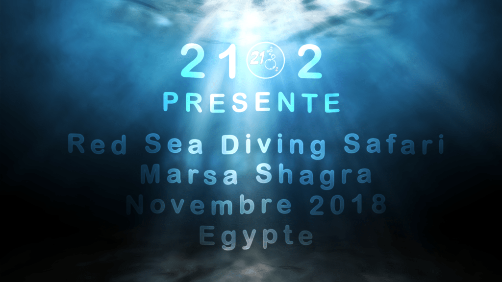 Égypte au Red Sea Diving Safari centre à Marsa Shagra en 2018